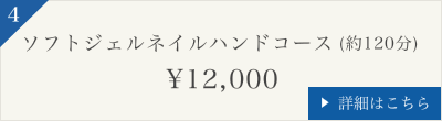 ソフトジェルネイルハンドコース