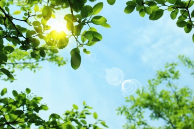 夏の紫外線対策！日焼け止めより保湿が大切なワケとは？